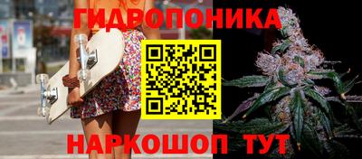 кокс Можга