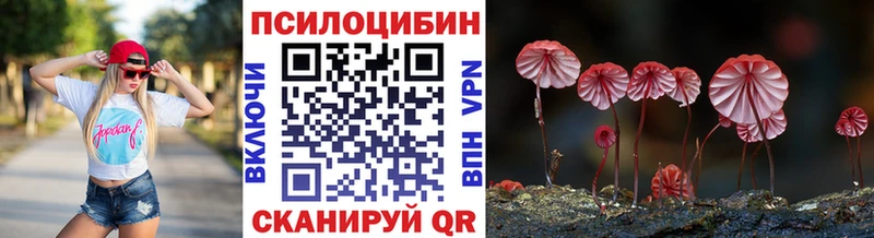 Галлюциногенные грибы Psilocybine cubensis  Родники 