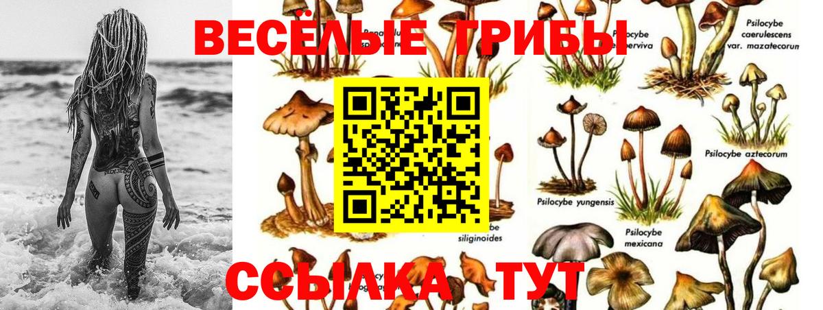 Галлюциногенные грибы ЛСД Родники