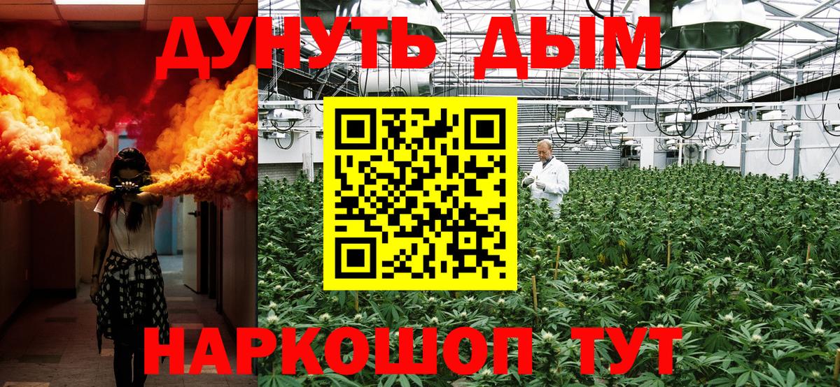 Шишки марихуана марихуана  Бошки Шишки планчик  Родники  Вход с VPN 